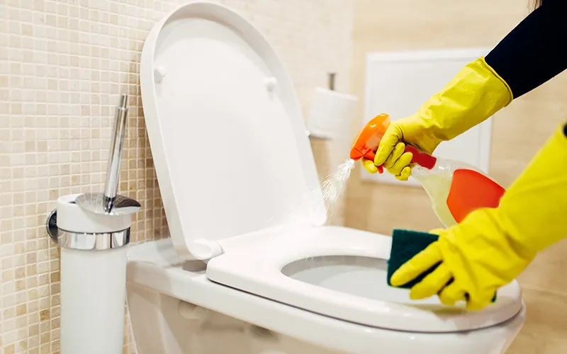 Bathroom cleaning routine- Toilet Cleaning