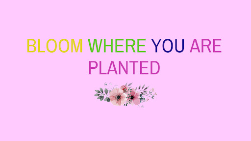 Bloom Where You Are Planted