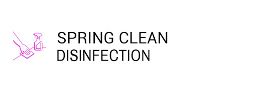 Spring Cleaning Disinfection