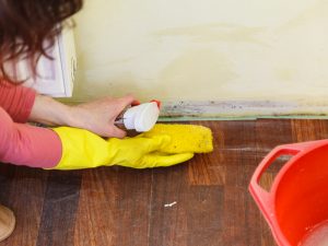 Clean the walls