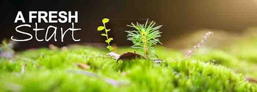 A fresh start A fresh start