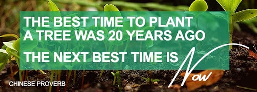 Plant a tree Plant a Tree