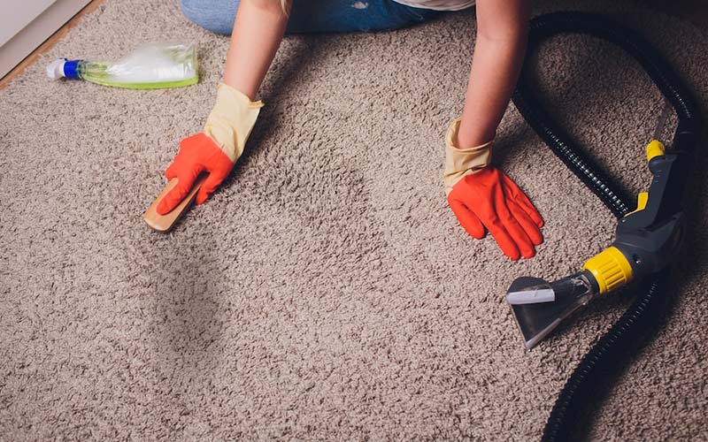 5 Common Carpet Stains and how to Remove it