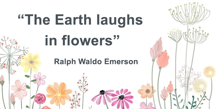 Quote flowers