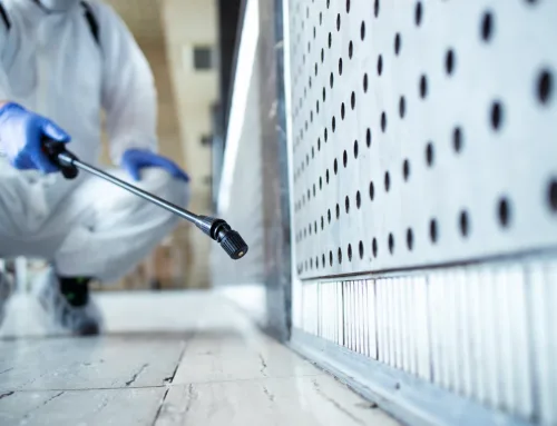 How to Get Rid of Mold in Your Shower and Bathroom