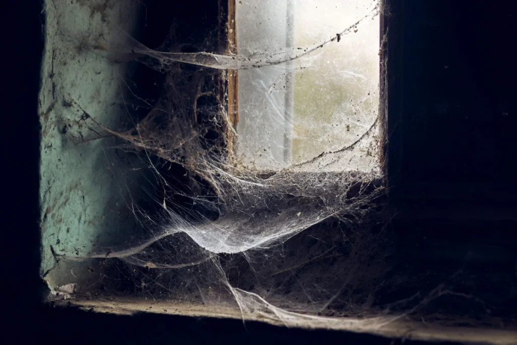 A close-up of heavy, thick spider webs covering the corner of a dark, neglected window frame.